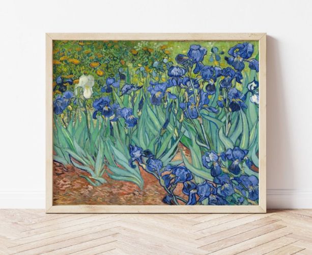 Vibrant Irises Poster: Add a Splash of Color to Your Space
